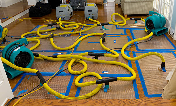 Professional Burst Pipe Water Damage technician working in Scottsboro, AL